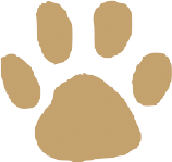 オールパーソナル会員