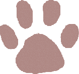 トッピングスタンダード会員